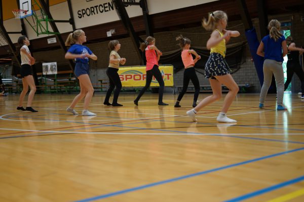 Danskamp & Fun (Kessel - zomer W4 - Teens) - Afbeelding 2