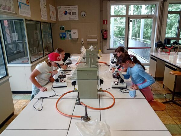 Project STEM-genie + Sport & Spel  (Malle - Zomer W1 2024) - Afbeelding 3