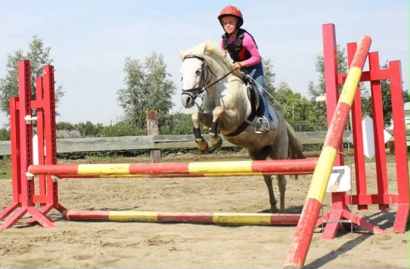 Ponykamp Bartvelden @Kessel (zw8 '26) - Afbeelding 5