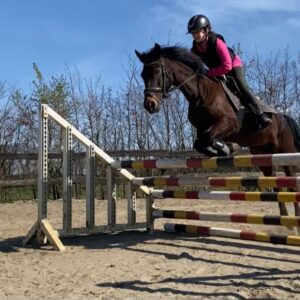 Ponykamp Bartvelden @Kessel (zw8 '26)