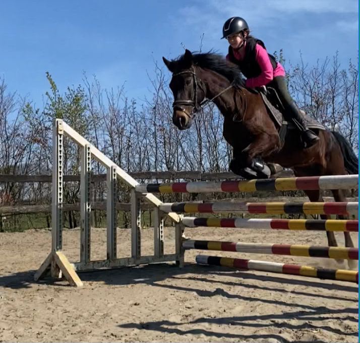 Ponykamp Bartvelden @Kessel (zw8 '26)